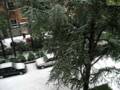 videos de Grandine a Imperia - 30 Novembre 2008