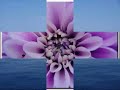 Cascada - Truly madly deeply (bewerkt)
