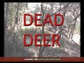 hunting big bucks