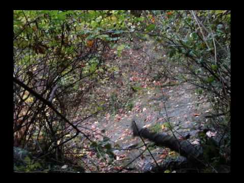 how to remove xmarks