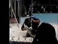 Circus Act (Crocodile Bites Man\