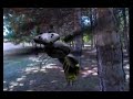 Closebug