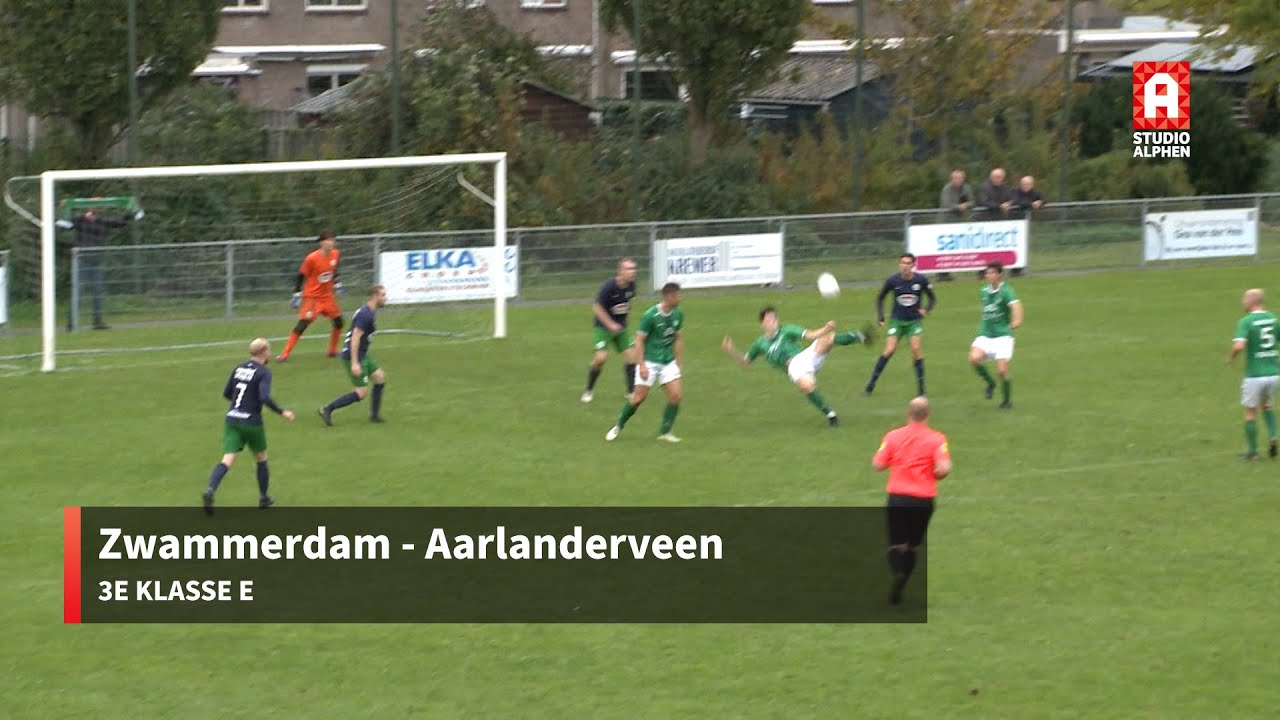 Samenvatting Zwammerdam- Aarlanderveen
