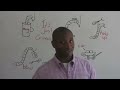 Learn English - Talking about crime