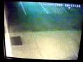 Second clip of the same footage caught on CCTV at my work.