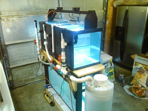 how to drain aquarium