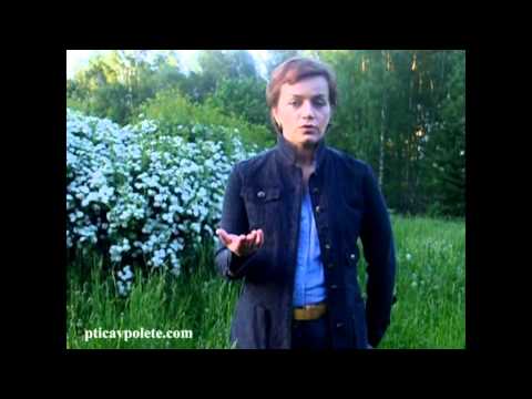 Смотреть видео