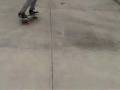 360 Boneless's!