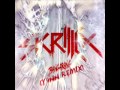 Skrillex - Bangarang (Y4nn Remix)