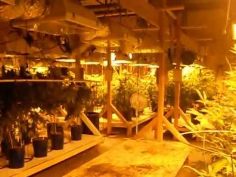 how to grow huge