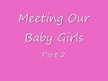  Sugar Glider Gliders Flying Squirrels Babies Baby Pets Marsupials Jack Johnson Brushfire Fairytales Flake Bubble Toes