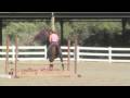 videos de Sora's Gaits