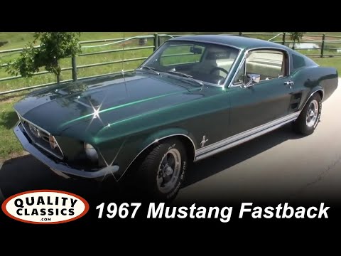 mustang