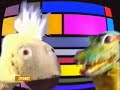 Kroko, �bergeben sie!