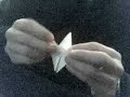 origami grue origami grue