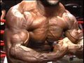 Bodybuilding-muscle-