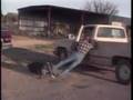 comedy10 afv comedy comedy10 afv comedy