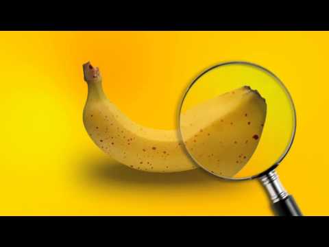 Kampanja: Euromelanoma u BiH 