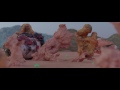 Yeasayer - I Am Chemistry