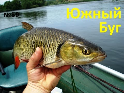 ловля щуки осенью на южном буге ловля щуки осенью на южном буге