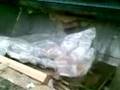 Carpenters trash bin