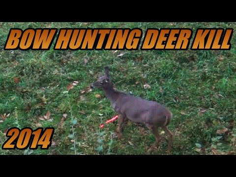 how to decide where to hunt deer