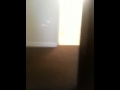 2805 Fitzhugh ( Brookline) Pgh Pa