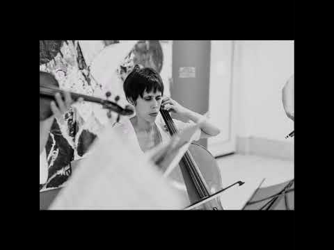 Shows por NM Eventos