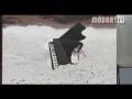 Modart Tv - Nils Kasiske