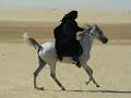 Nirah - Gallop Nirah - Gallop