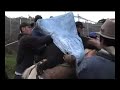 Andean Bear Rescue Andean Bear Rescue