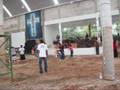 videos de IMEC CAMPAMENTO INTERNACIONAL 