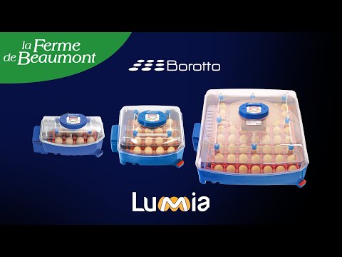 Couveuse Borotto Lumia 56 automatique Expert kit