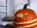 Snake(s) on a Pumpkin