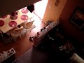 Search for The Lost Xbox