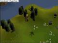 Runescape - 99 Woodcuting Guide