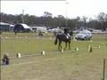 Warwick2007-CIC-W-Dr