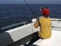 Big  South Aust Snapper takes whiting rig @ Cowell Arno Bay