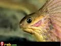 ولله في خلقه شؤون