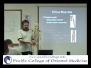 ONE1 F08 WK 8&9 Biomx upper extremity P6 Elbow