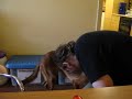 Pinsel lernt bellen :-)