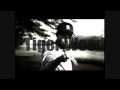 Swing de Tiger au ralenti HD