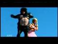 JACKASS TWO-POINT-FIVE HITS DVD