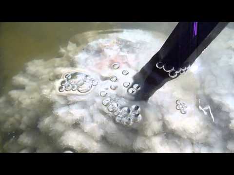 how to grow gypsum crystals