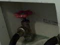Leaky Washing Machine Valve Fix