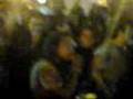 Movimiento ANTIemo (Violencia en Querétaro) REPROBABLE!!