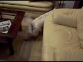 Sookie lernt Micky kennen / Sookie�s 1st meeting with Micky