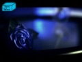 Jay Sean Ft Lil Wayne - Down - Dj Random's Remix