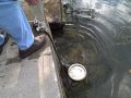 Harveys nice Bass 09 13 09.AVI