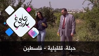 حبلة، قلقيلية - فلسطين - حلوة يا دنيا